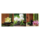 Stone - Full Drill Round Drill Painting - 80x30cm