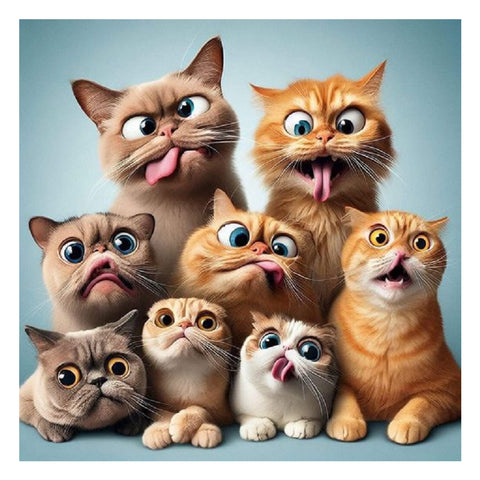 Funny Cat-Full Round Diamond Painting-40x40cm