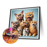 Funny Cat-Full Round Diamond Painting-40x40cm