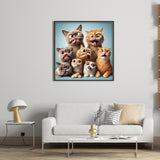 Funny Cat-Full Round Diamond Painting-40x40cm