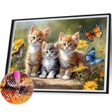 Cat-Full Square Diamond Painting-40x30cm