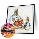 Rabbit-Full Round Diamond Painting-30x30cm