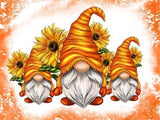Gnome-Full Round Diamond Painting-40x30cm