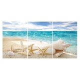 3pcs Beach Shell - Full Drill Round Drill - 80x40cm