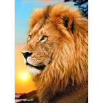 Lion Full  Drill-Diamond Painting