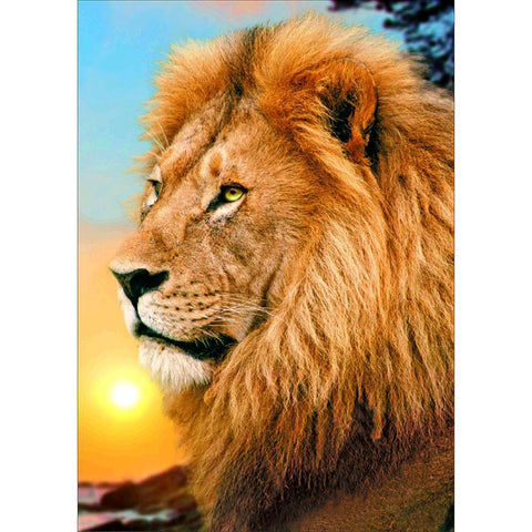Lion Full  Drill-Diamond Painting