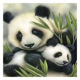 Panda Full Drill-DIY Diamond Painting