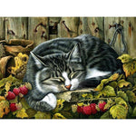 Cat Full Drill-Diamond Painting