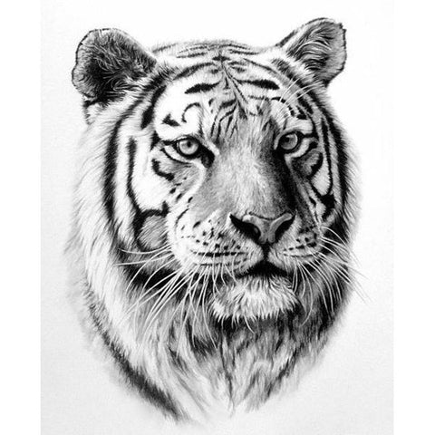 Animal Full Drill-Diamond Painting