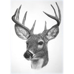 Animal Full Drill-Diamond Painting