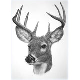 Animal Full Drill-Diamond Painting