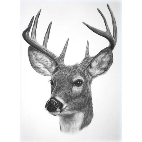 Animal Full Drill-Diamond Painting