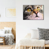 Animal Full Drill-Diamond Painting