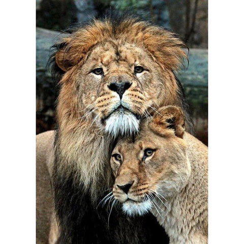 Lion Full Drill-Diamond Painting