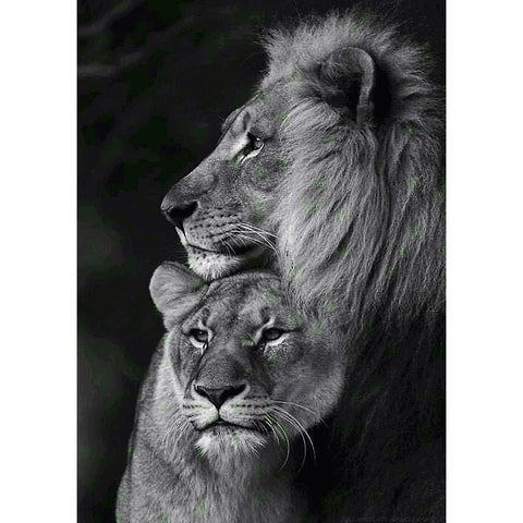 Lion Full Drill-Diamond Painting