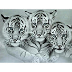 DIY Kits Full Drill-DIY Diamond Painting