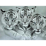 DIY Kits Full Drill-DIY Diamond Painting