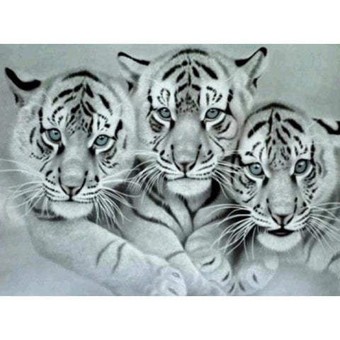 DIY Kits Full Drill-DIY Diamond Painting