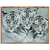 DIY Kits Full Drill-DIY Diamond Painting