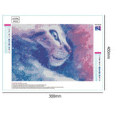 DIY Kits Full Drill-Diamond Painting