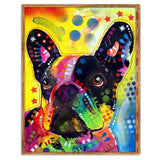 Colourful-Full Drill Diamond Painting