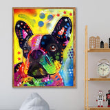 Colourful-Full Drill Diamond Painting