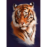 Tiger-Full Drill Diamond Painting