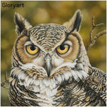 Owl-Full Drill Diamond Painting