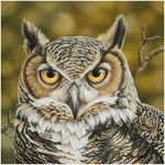 Owl-Full Drill Diamond Painting