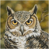 Owl-Full Drill Diamond Painting