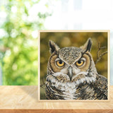 Owl-Full Drill Diamond Painting