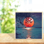 Moon-Full Drill Diamond Painting