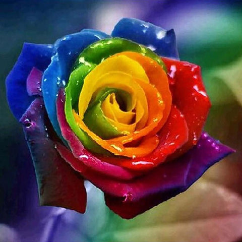 Colorful Rose   - Full Drill Diamond Painting