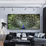 Peacock - Full Drill Round Drill - 100x50cm