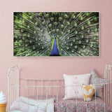 Peacock - Full Drill Round Drill - 100x50cm