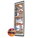 Chicken Animal - Full Drill Round Drill - 25x115cm