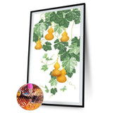 45x85cm Calabash Vine - Full Drill Round Drill - 45x85cm
